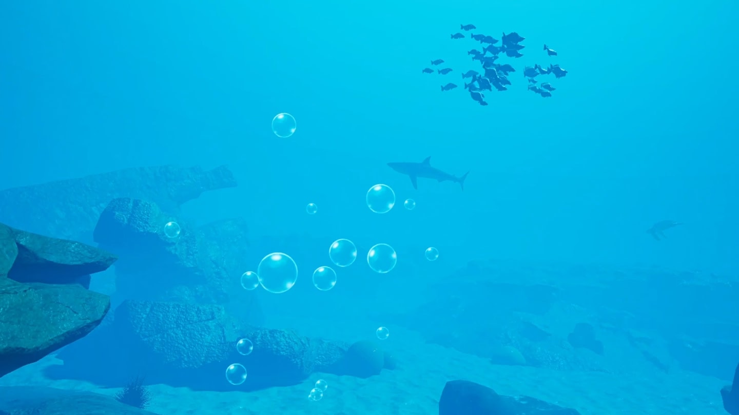#4. How to Rescue a Reef LITE (Meta) 게시자: Rescue a Reef program