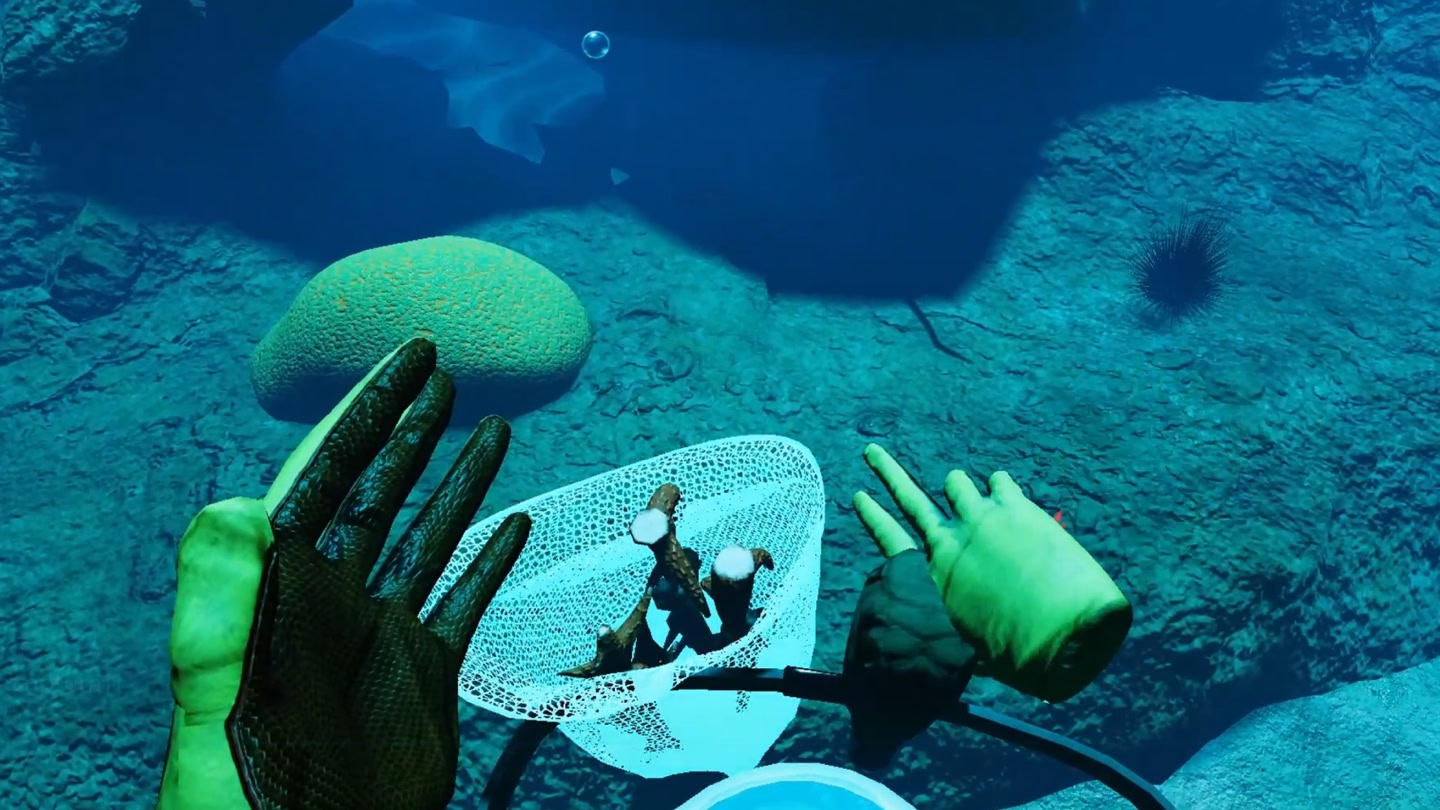 #3. How to Rescue a Reef LITE (Meta) 게시자: Rescue a Reef program